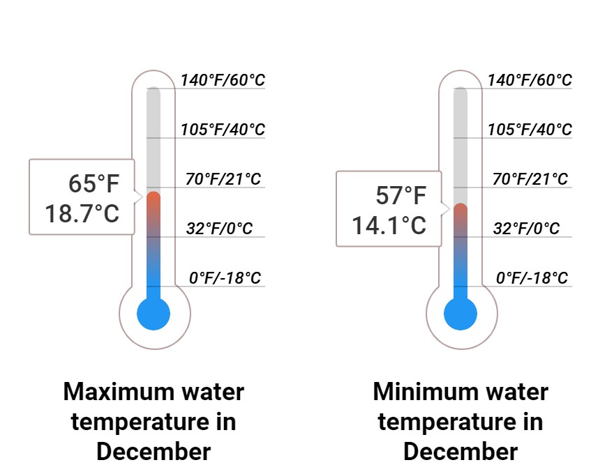 Average Sea temperature
